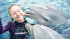 Отново можем да плуваме с делфините във Варна